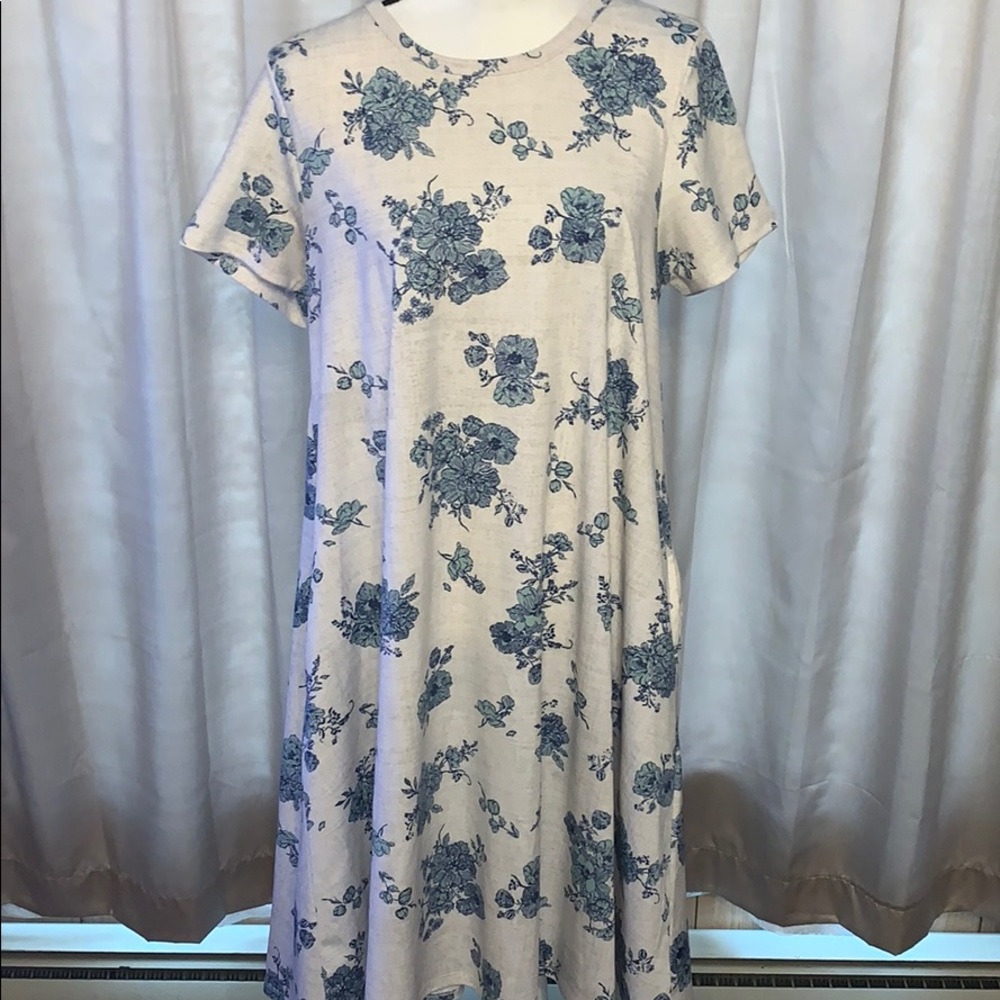 Medium LuLaRoe Jessie Dress
